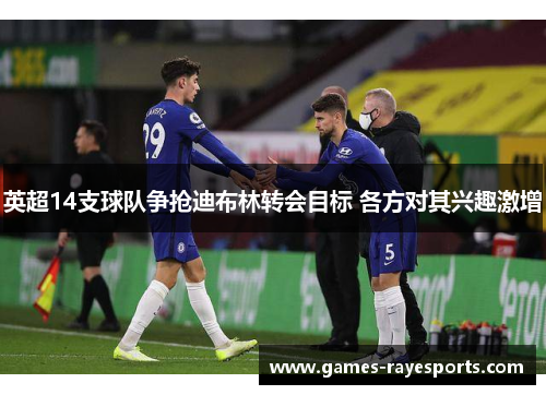 英超14支球队争抢迪布林转会目标 各方对其兴趣激增